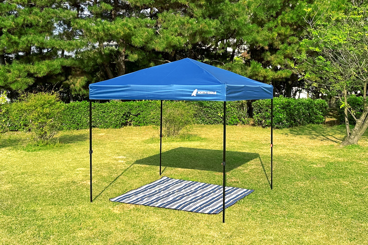 スカイキャノピーPlus250