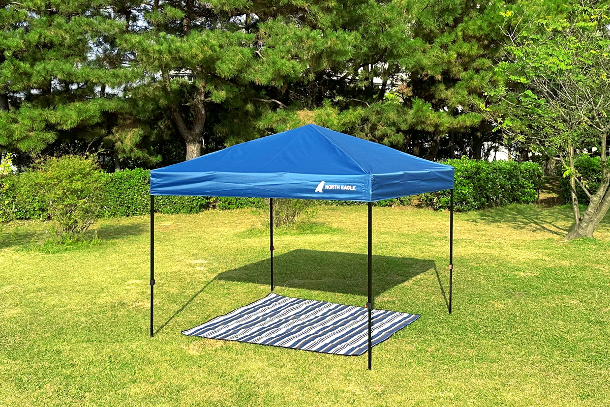 スカイキャノピーPlus250