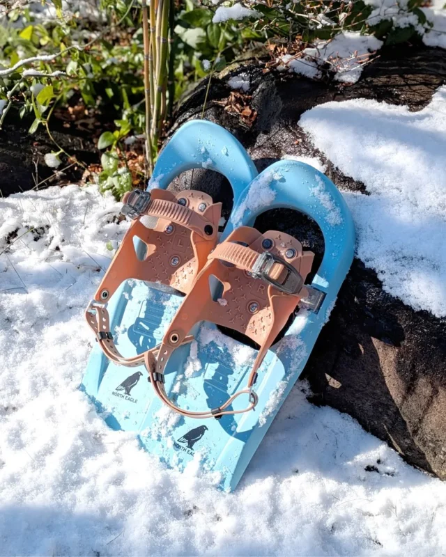 .

🎍新年明けましておめでとうございます🎍

本年もNORTH EAGLEをよろしくお願いいたします🦅

2026年は午年ですね〜！
まだまだこれからが冬本番！
雪の中をたくさん駆けまわって、
元気いっぱい雪遊びを楽しみましょう！🐎❄️🐎❄️

軽量のスノーウォーカーは
スノーシューデビューにぴったり👍
雪国の除雪や、農作業にもおすすめです

#northeagle #ノースイーグル #キャンプ #キャンプギア #アウトドア #アウトドア好き #ノースイーグルテント #テント #コスパ #コスパアウトドアギア #ファミリーキャンプ #ソロキャン #ソロキャンプ #デイキャンプ #北海道 #北海道企業 #北海道が好き #アウトドア用品 #キャンプ道具 #キャンプ用品 #アウトドア用品 #キャンプギア #冬キャンプ#キャンプブランド#スノーシュー#雪遊び