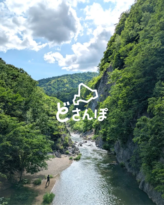 .

北海道のさまざまな景色を紹介する《どさんぽ》
不定期で更新するコーナーです🦅

今回は、札幌市内から車で約1時間、
温泉街として人気の定山渓へ♨️

定山渓という名前は、
修験僧・美泉定山（みいずみ じょうざん）が
アイヌの人々の案内で温泉を見つけ、
基盤を築いたことが由来といわれているそう

夏の定山渓は、
木々の緑と川のせせらぎが心地よく、
歩いているだけでもリフレッシュできます🌿✨

ところどころで日帰り温泉も楽しめて
散策路はちょっとしたハイキングにもぴったり！🌳
歩きやすい靴で訪れるのがおすすめです🥾

街には古くから伝わる「かっぱ伝説」にちなんだ
ユニークなかっぱ像がたくさん！

ぜひ、かっぱ探しも楽しんでみてください💁🥒

#northeagle
#ノースイーグル
#定山渓
#かっぱ伝説
#どさんぽ