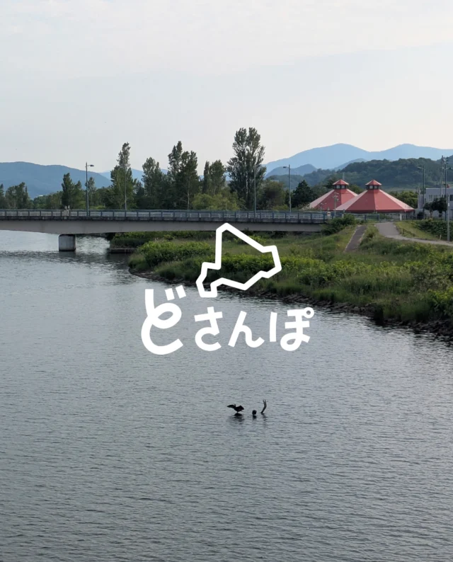 .

北海道のさまざまな景色を紹介する《どさんぽ》
不定期で更新するコーナーです🦅

今回は、余市の夕暮れ散歩をお届け📸

余市といえば🍷✨
ワイン、海産物、果物と自然環境に恵まれた美食の町

観光名所のニッカウヰスキーからスタート
なお、人気の蒸溜所見学は15:30までの受付なのでお早めに🥃

赤い屋根の蒸留所をかすめて海の方へ👣

道端で出会う看板やたぬきくんにほっこり♨️
ヨーロッパ風の街並みと、レトロな書体に
なぜか顔のような建物が多いな🏠

余市川に出ました

北限の鮎が来るようで🐟🐟🐟
マンホールの蓋の魚も…鮎でしょうか

空も広く、気持ちいい風が吹いていました

秋のお休みに🍂夕暮れ散歩はいかがでしょう？

#northeagle #ノースイーグル #余市 #夕暮れ #どさんぽ