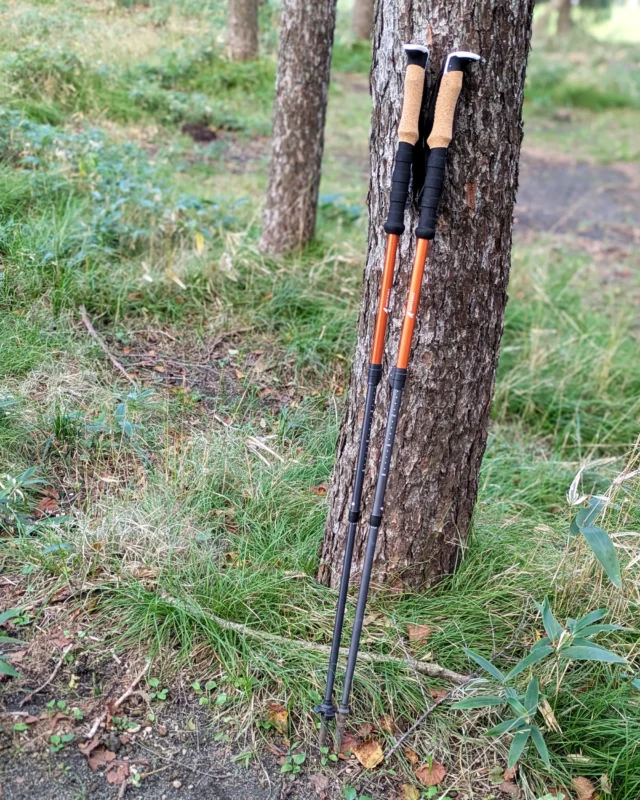 .

秋が深まり🍂登山やハイキングシーズン
歩くお出かけにはトレッキングポールがおすすめです💡

足場が悪いとき、見えにくいときの
安定感・安心感がアップ
格段に歩きやすい！
みんなのモチベも上げてくれる⤴︎

収納ケースがあるのも、帰りは嬉しいもの

さあ、ぶじに帰りました🏕️

下山後のお楽しみはなんにしようかな♨️🍦🍺

【商品情報】
🚩SWEN×NORTH EAGLE コラボ商品🚩
NE80007 トレッキングポールセット7001　¥5,980（税込）

●片手わずか190gで疲れにくい
●高強度、高耐久のA7001アルミ合金を使用
●汗でも滑りにくい天然コルクグリップ
●ワンタッチで7段階の長さ調整

✳︎ ✳︎ ✳︎ ✳︎ ✳︎

SWEN店舗
ノースイーグル公式オンラインストア
限定発売

✳︎ ✳︎ ✳︎ ✳︎ ✳︎

#northeagle
#ノースイーグル
#トレッキングポール
#登山
#ハイキング