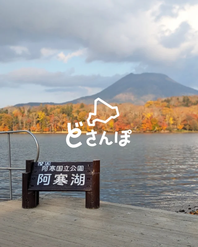 .

北海道のさまざまな景色を紹介する《どさんぽ》
不定期で更新するコーナー🦅

少し前になりますが
阿寒湖の紅葉🍂🍂🍂をお届けします！

阿寒湖には昔からアイヌの村があり、
温泉♨️や天然記念物まりも、アイヌコタンが人気

湖岸の散策でリスや鹿に出会ったり🐿️
紅葉を満喫🐾

🟢マリモは船に乗り、阿寒湖のチュウルイ島に見にいきますが、船からの景色もあざやかでした！

お昼にはおいしい「まりもラーメン」🍜

また、木彫りを扱うお土産屋さんがたくさんあり
木彫りの小物🐻を見るのも楽しい
素朴な風合いにほっこり

じつはノースイーグルのロゴマークのオジロワシも
木彫りの素朴な風合いなんですよ🦅

この景色は二週間前のこと
北海道は一足早く、冬に向かいます❄
︎
#northeagle #ノースイーグル #阿寒湖 #紅葉 #どさんぽ
